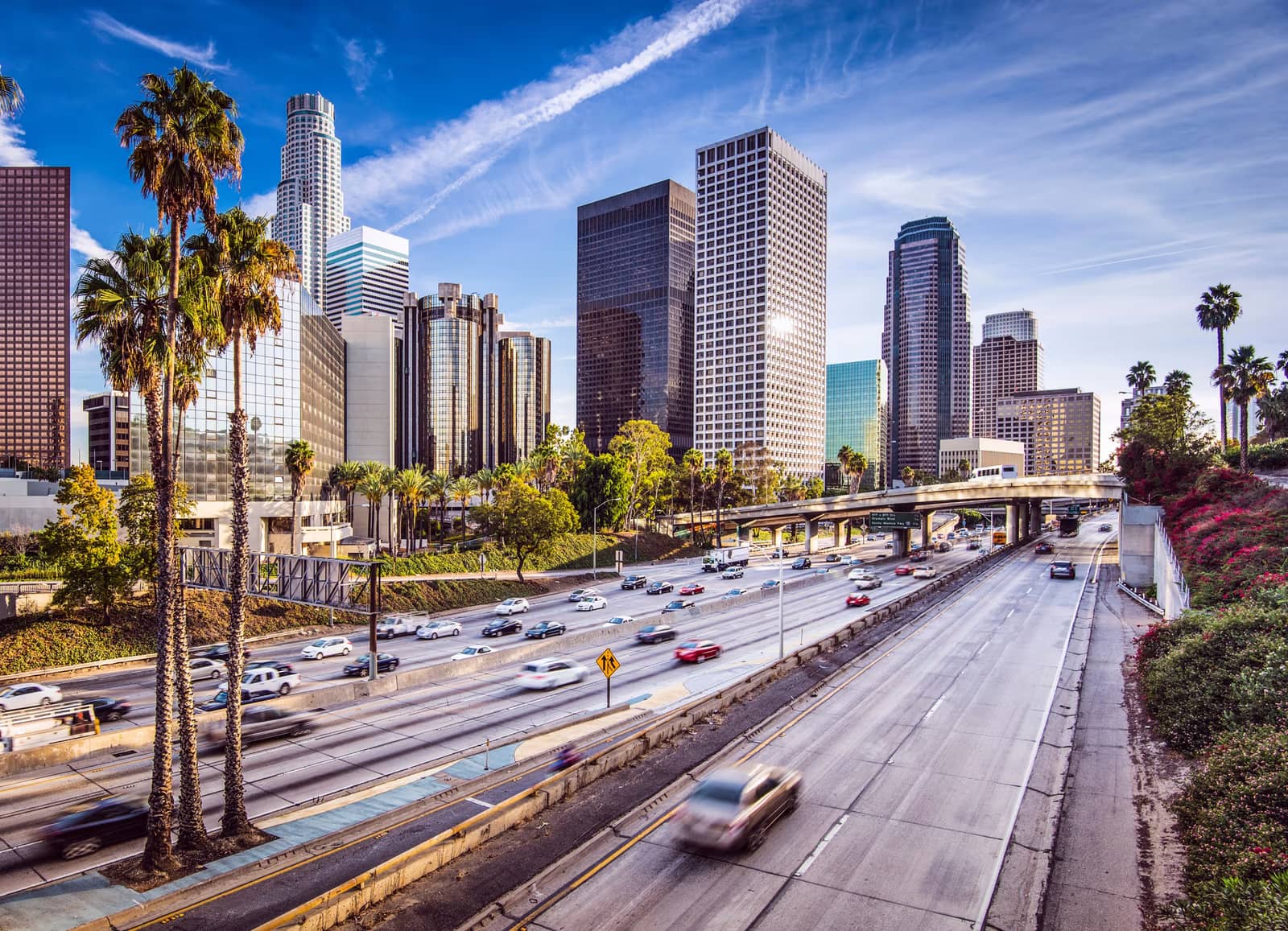 executive search los angeles